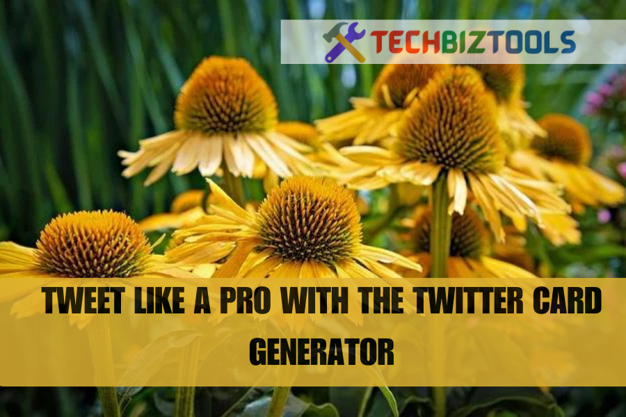 Tweet Like a Pro with the Twitter Card Generator